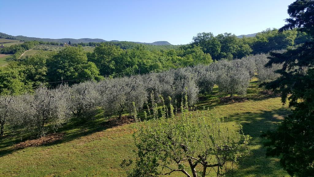 Holiday House Le Selvole Рада ин Кианти Екстериор снимка