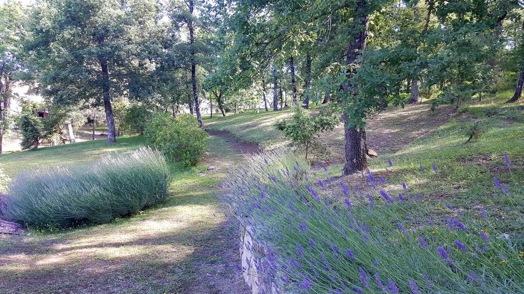 Holiday House Le Selvole Рада ин Кианти Екстериор снимка